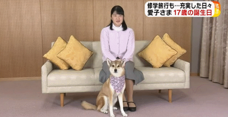 1543802770285756.gif 爱子与爱犬“由莉”(富士电视台)