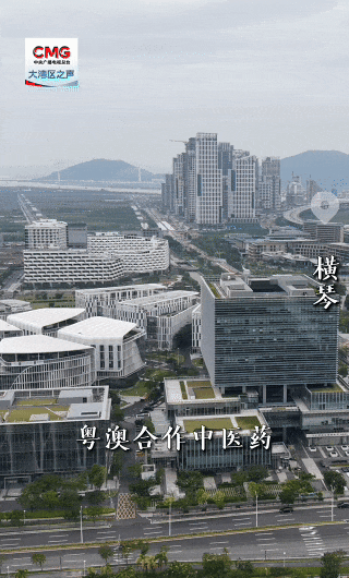 勇立潮头大湾区丨琴澳良方 构建产业新生态