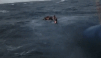 1530870146888888.gif