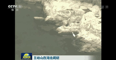王岐山考察南水北调工程建设(视频截图)