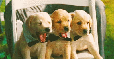 贫血至少牵出7种大病 你有这些症状就危险了