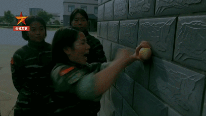 满多少岁可以进赌场-这只狗狗都有专属房间,条件还这么好,羡慕嫉妒中