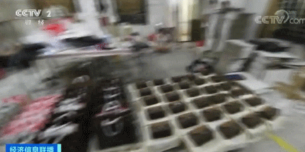 「索莱尔游戏免费开户」(财经·动态)A股涨跌互现,呈现沪强深弱格局