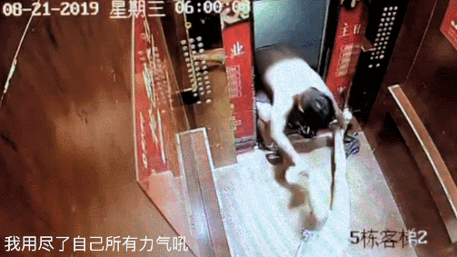 拉菲2娱乐招总代 selina告诉你为何明星吃零食 越吃越年轻?