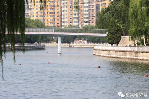 ▲8月25日，东二环护城河，几位游泳爱好者正在水中畅游。 新京报记者 王飞 摄
