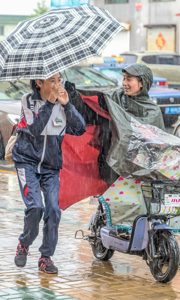 伊人福利-迷你世界2025竹林地形码哪些可以用 4