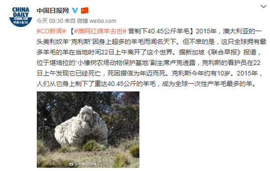「mn娱乐app」杜兰特联手欧文小乔丹 篮网一跃进入争冠行列