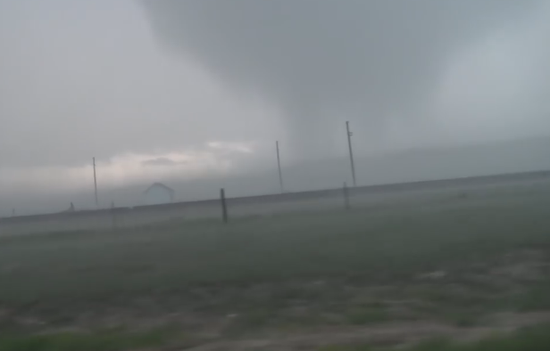 视频：真吹牛！美国一农场遭龙卷风侵袭 牛被吹上天