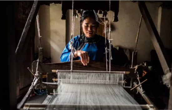 ▲在中国大理村,一位侗族女子用家中织布机织布。(美国《纽约时报》)