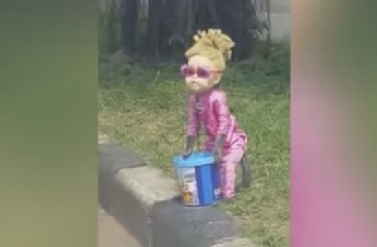 视频：猴子扮小女孩在路边乞讨 引巨大争议