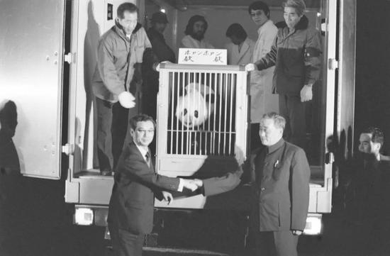 1980年1月29日晚，中国赠送给日本的大熊猫“欢欢”抵达东京上野动物园。北京动物园主任李长德（右）和上野动物园园长浅仓繁春握手。新华社发