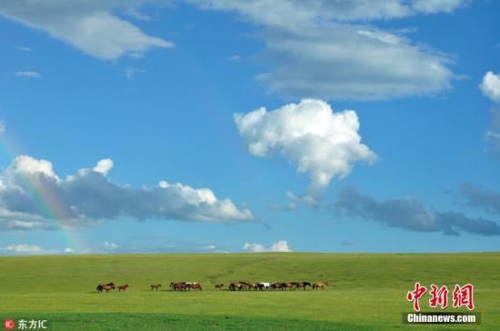 资料图：内蒙古呼伦贝尔草原。 余昌军 摄 图片来源：东方IC 版权作品 请勿转载