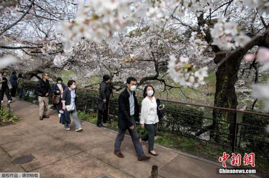 当地时间2020年3月22日,日本东京上野公园樱花绽放,吸引不少游人在樱花林间漫步、野餐。