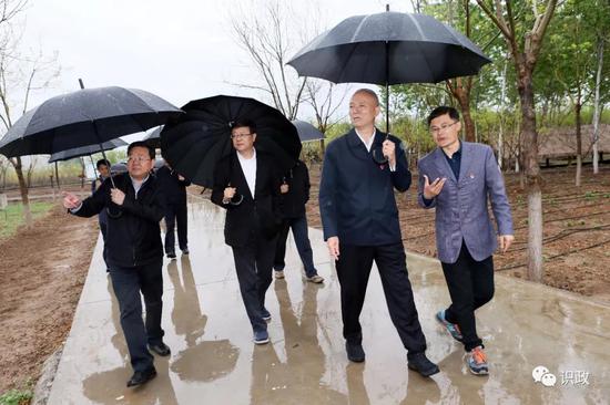 察看怀柔区桥梓镇前辛庄村林下经济