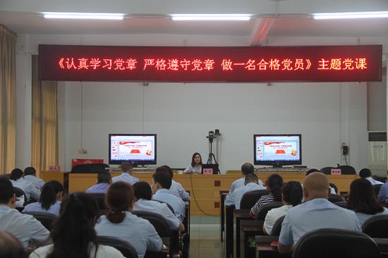 龙胜法院院长组织开展学习《党章》主题党课