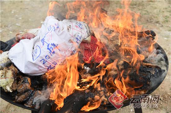 云南公开销毁毒品3.95吨：40口铁锅焚烧了近5小时