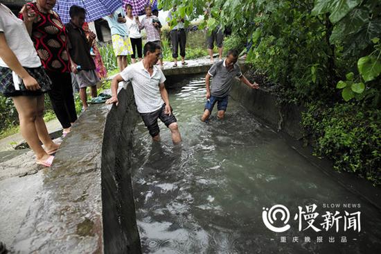 村民跳入灌溉渠，用脚搅动，渠水马上变成黑水。