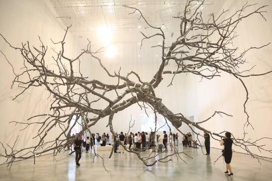  孟柏伸的大型装置作品《悬置》给观众带来了震撼的视觉观感。