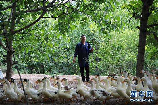 甘南州舟曲县GDP_舟曲县泥石流图片