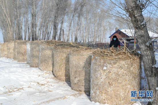 黑龙江农村人口_黑龙江农村