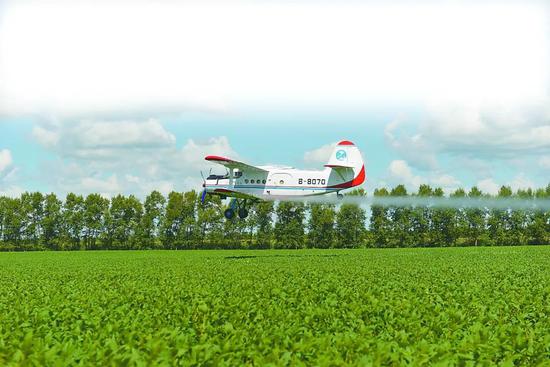 在黑龙江省九三垦区尖山农场，农用飞机正给大豆喷洒叶面肥和农药。赵觉珵摄