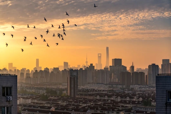 2022年4月10日,上海的清晨。视觉中国供图