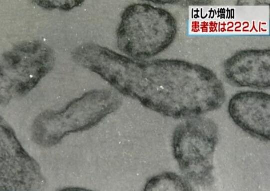 资料图(图源:日媒)