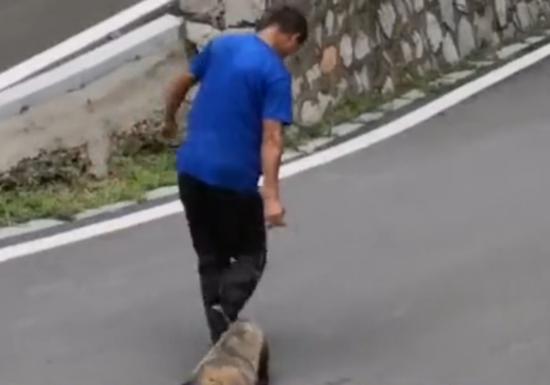 一男子正将一动物拖走。视频截图
