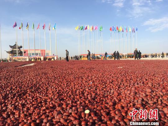 10月27日，新疆喀什地区麦盖提县举办“灰枣文化旅游节”。 勉征 摄