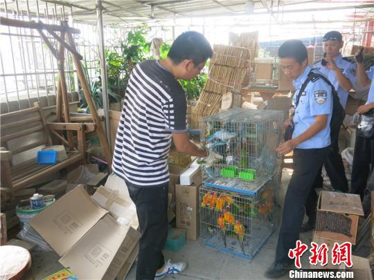 图为警方在执法中。　广西森林公安局供图 摄