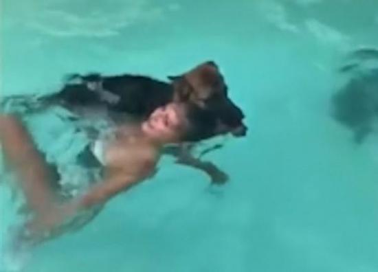 美国女子假装“落水”在水里挣扎 忠犬跳下去施救