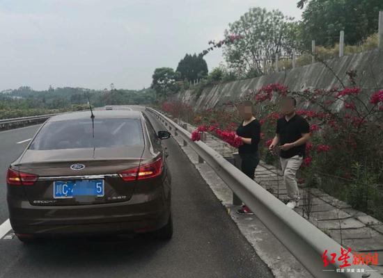 ����·��ͣ��ժ��