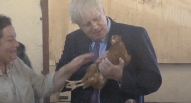 谈脱欧时曾掏出腌鱼的英国新首相 这次抱起一只鸡|首相|欧盟 谈脱欧时曾掏出腌鱼的英国新首相 这次抱起一只鸡|首相|欧盟