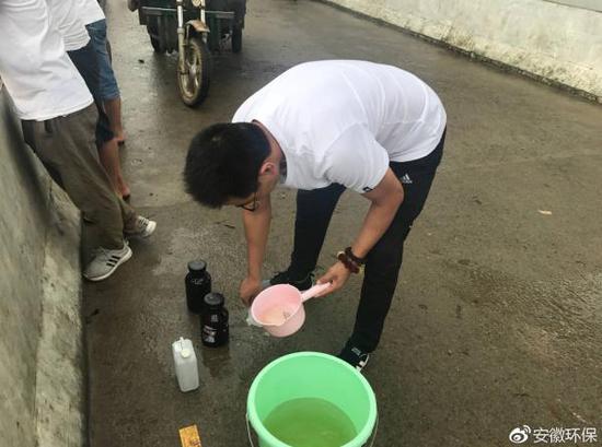 安徽洪泽湖大量鱼蟹死亡 初步分析因暴雨洪灾导致