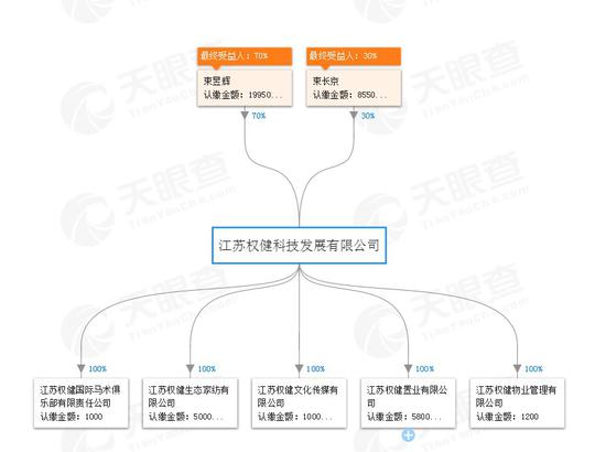 江苏权健科技公司的股权结构图。数据来源：天眼查