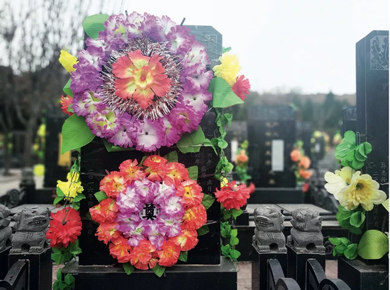 陕西省咸阳市郊五陵故园内的魏则西墓碑。摄影/本刊记者 杜玮