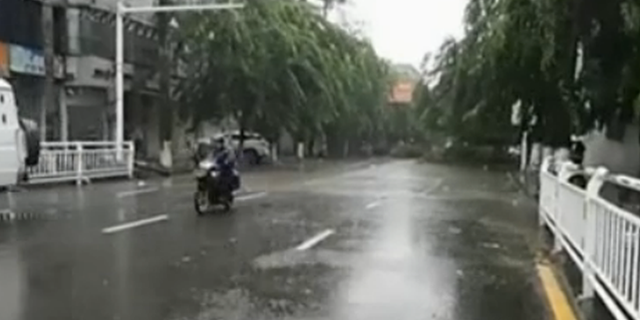 台风登陆上海 带来10级狂风暴雨
