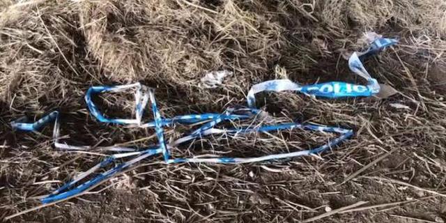 南京溺亡女童奶奶：爷爷主使 父亲不舍