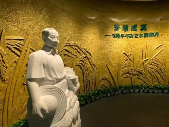 全国唯一水稻博物馆。新京报记者 王巍 摄