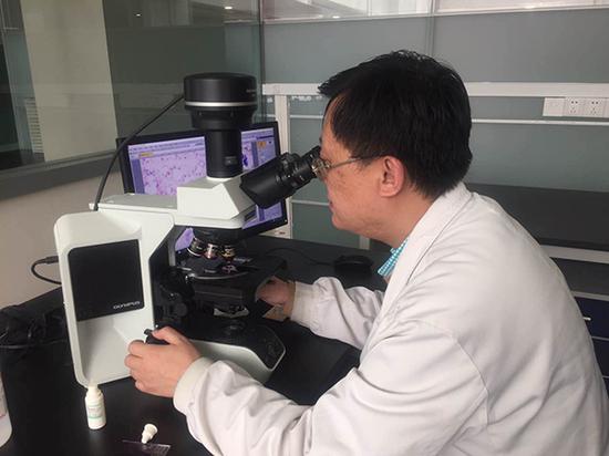 檢驗科醫生王劍飈正在顯微鏡下觀察寄生蟲形態。