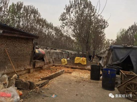 ▲4月13日，通州區北堤寺村南，院內擺放著泔水桶（右側），槽內有部分泔水（左側）。 ? ?新京報記者 王飛 攝