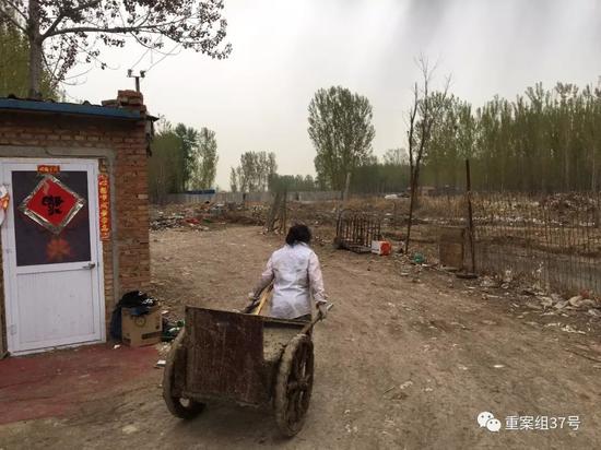 ▲4月13日，通州區北堤寺村南，租戶將打掃出的糞便和廢物倒入院后的池子中。 ? ?新京報記者 王飛 攝