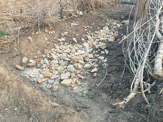 嫌疑人挖的粪坑里被扔进几十块大小不一的石头。 澎湃新闻记者 于亚妮 图