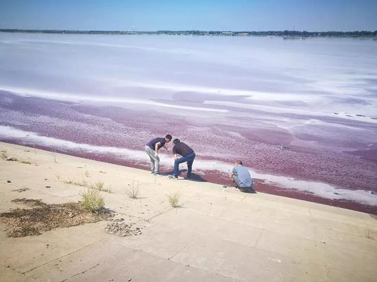 督查组监测人员在黑臭水体里采样，进行水样监测。