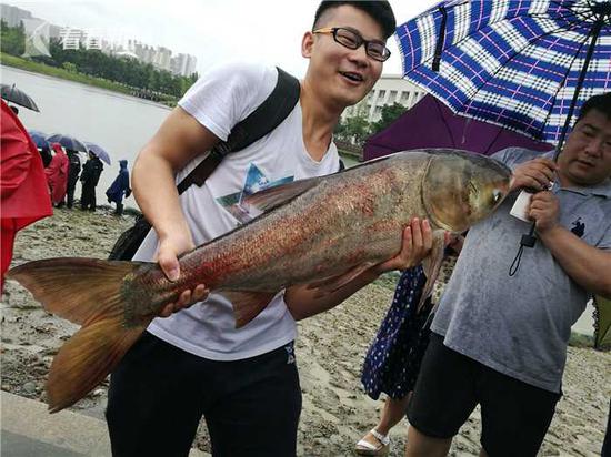 暴雨天大家都在躲雨 这所大学却忙着在湖中捞鱼