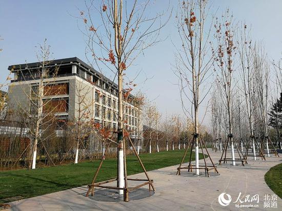 北京城市副中心行政办公区基本建成,将于近期启用。