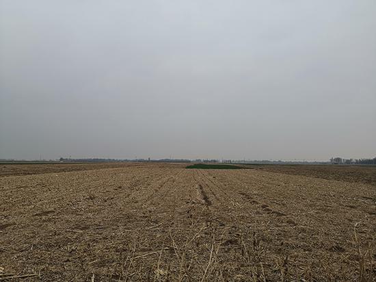 4月9日,田俊杰住处附近的田地。