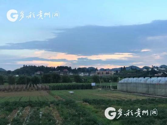 花茂村人口_花茂村