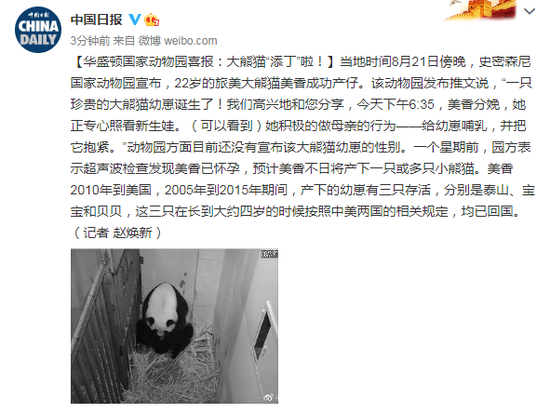 华盛顿国家动物园喜报:大熊猫“添丁”啦!