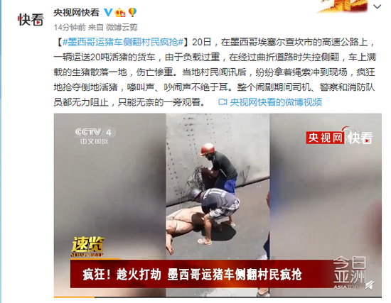 墨西哥运猪车侧翻村民疯抢 警察和消防队员无力阻止